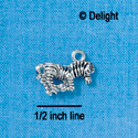 C2709+ - Zebra - 3-D - Silver Charm